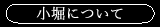 小堀について